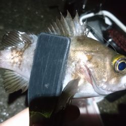 雨の中少しだけ