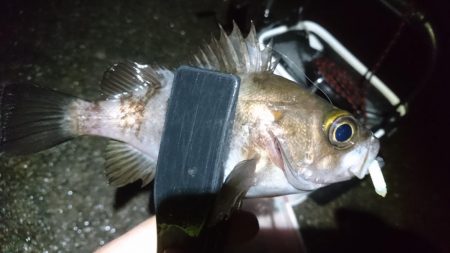 雨の中少しだけ