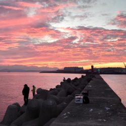 懲りずに良型アジングに!