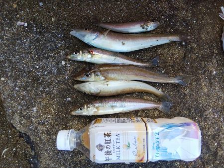 今年最後の釣・・その２