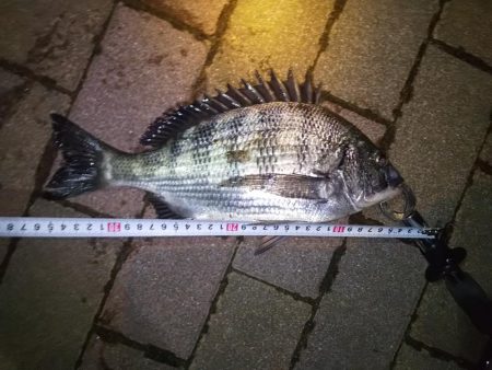 クリスマスだろうが関係なし