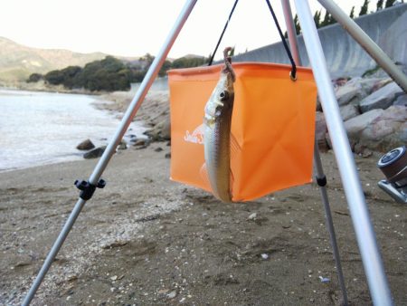 今日も貧果⁉️…