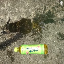 久しぶりの遠征