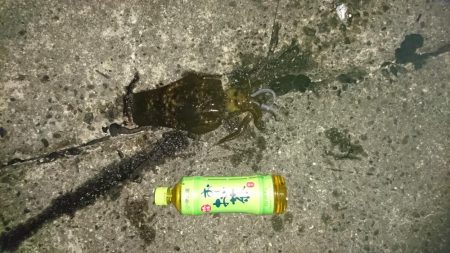 久しぶりの遠征