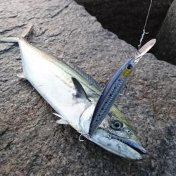 ジャスト60センチ