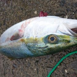 そろそろ終わりなのか