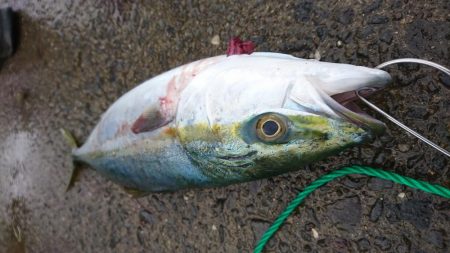 そろそろ終わりなのか