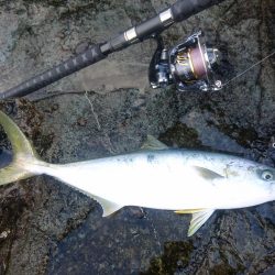 荒れた後は釣れる