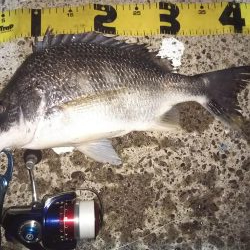 ぶら河川調査!!