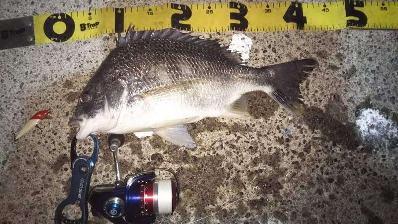 ぶら河川調査！！