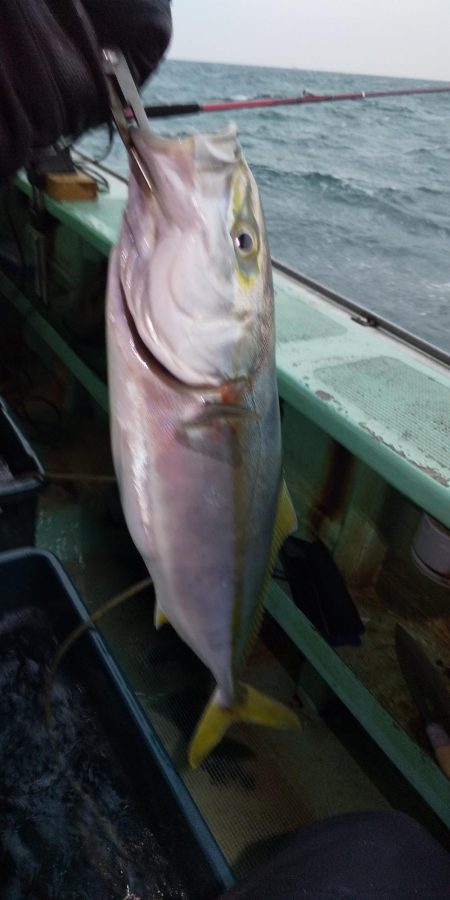 シケで激渋ノマセ