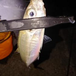 どこも渋く小さい