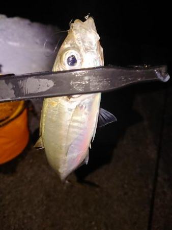 どこも渋く小さい