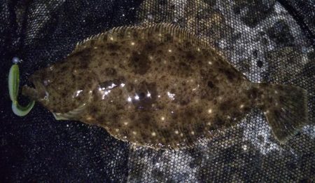 ライトゲームでソゲ