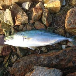 セットアッパー3