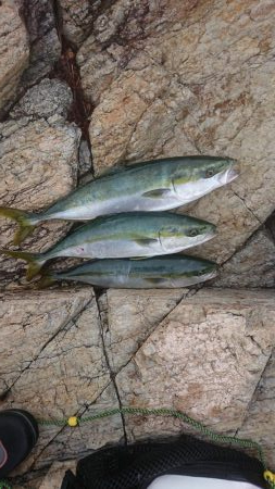 ｾｯﾄｱｯﾊﾟｰ4