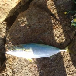 セットアッパー5