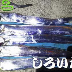 南芦屋浜へタチウオを釣りに行きました。