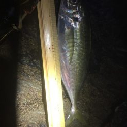 アジングからの村人達