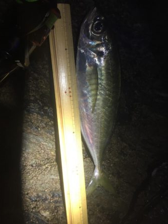 アジングからの村人達