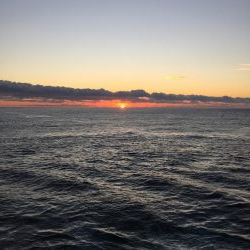 ショアジギングと根魚釣り