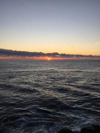 ショアジギングと根魚釣り