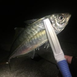 今年の年末調整１日目