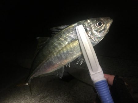 今年の年末調整１日目