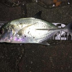 ドブ川メッキゲーム