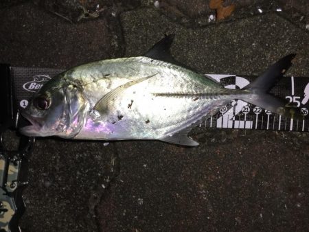 ドブ川メッキゲーム