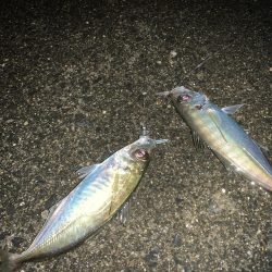 仕事が終わったら私事だぜ