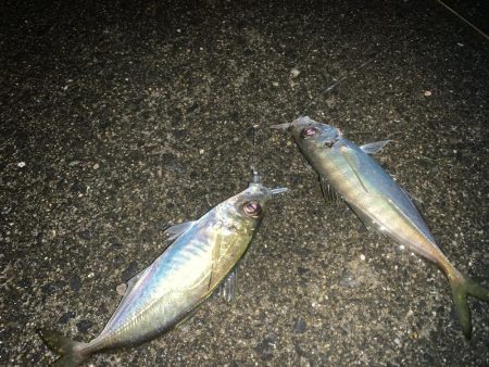 仕事が終わったら私事だぜ