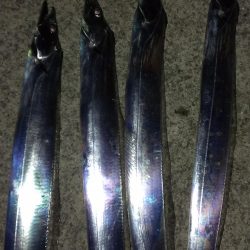 まだまだイケる