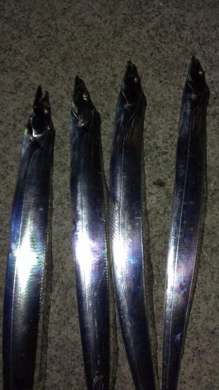 まだまだイケる