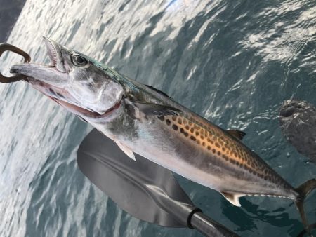 今年最後のカヤックフィッシング！？