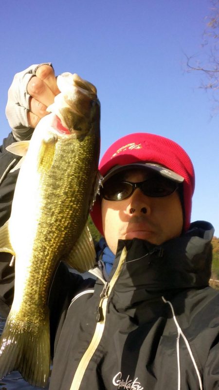 かなり寒いです