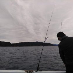 奇跡の根がかり王!