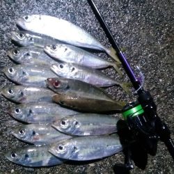 ディープアジング