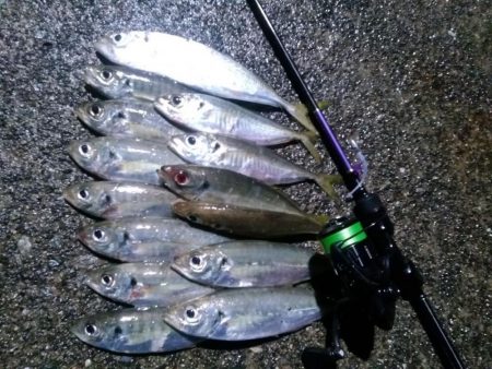 ディープアジング