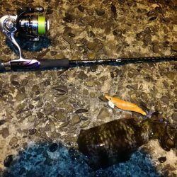 夜、微風、エギング