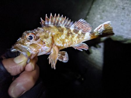 時合いにトラブル