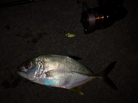 ナイト、マイクロジギング