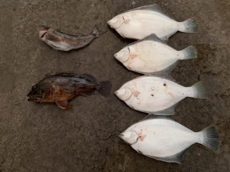 嵐の中での根性の釣り