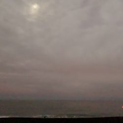 最後の最後に1/20、ちっちゃいけど一夜干しに!