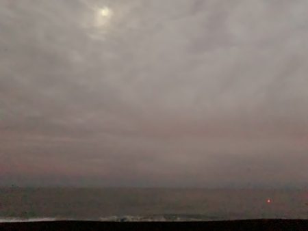 最後の最後に1/20、ちっちゃいけど一夜干しに!