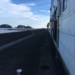 イガミ、チャリコ、グレ、コアジほか