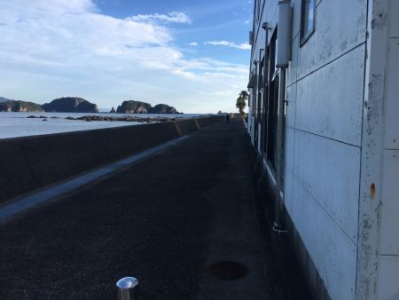 イガミ、チャリコ、グレ、コアジほか