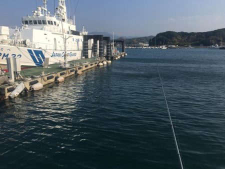 コアジ5匹のみ　強風　波高