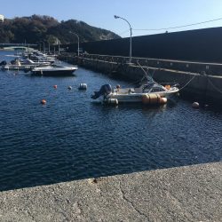 良型アジ（25~6㎝）4匹、ベラ3匹、良型ガシラ1匹