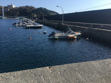 良型アジ（25~6㎝）4匹、ベラ3匹、良型ガシラ1匹